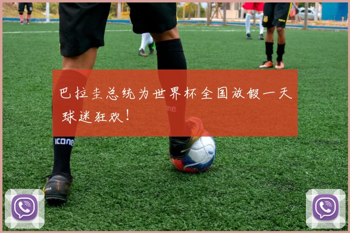 巴拉圭总统为世界杯全国放假一天 球迷狂欢!