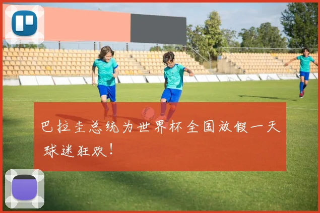 巴拉圭总统为世界杯全国放假一天 球迷狂欢！
